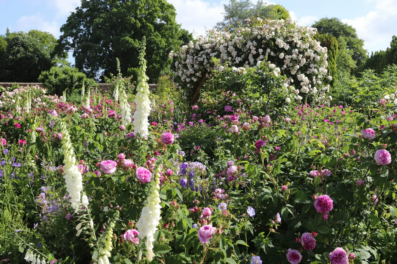 A colourful mixed flower border in an English summer garden
