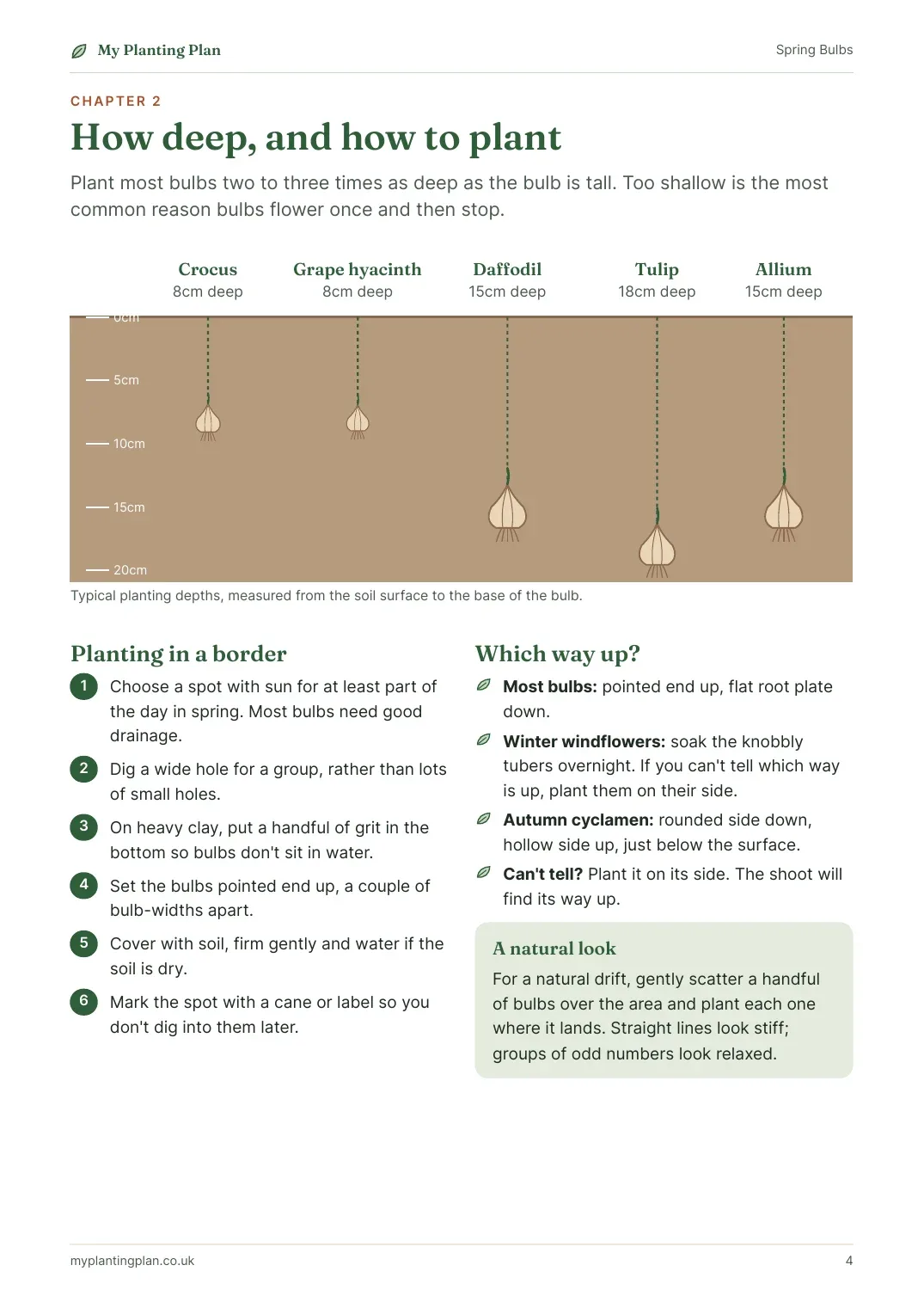 A page from inside the Spring Bulbs guide
