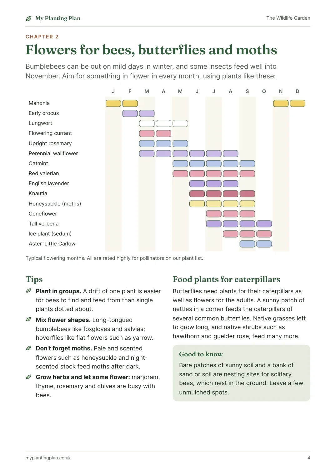 A page from inside the The Wildlife Garden guide